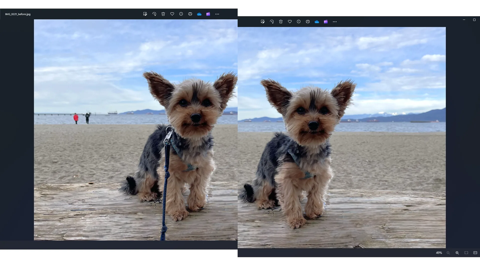 Editor AI for Windows Photos