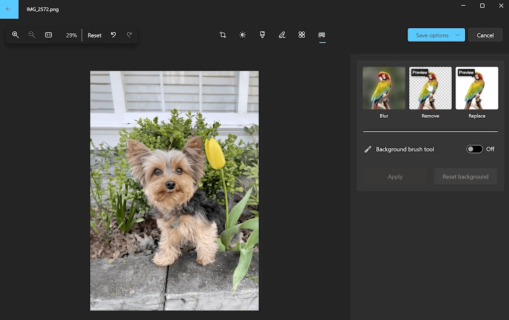 Background removal UI in Windows Photos with options to blur, remove, or replace the background.